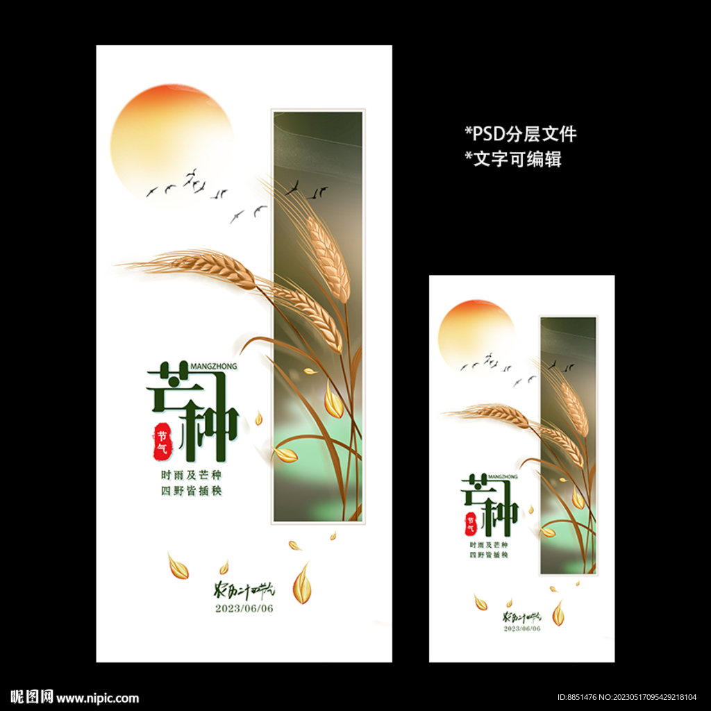 二十四节气芒种