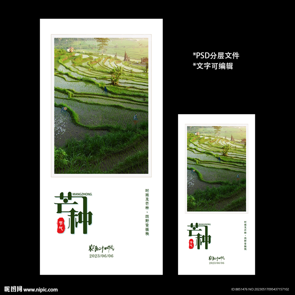 二十四节气芒种