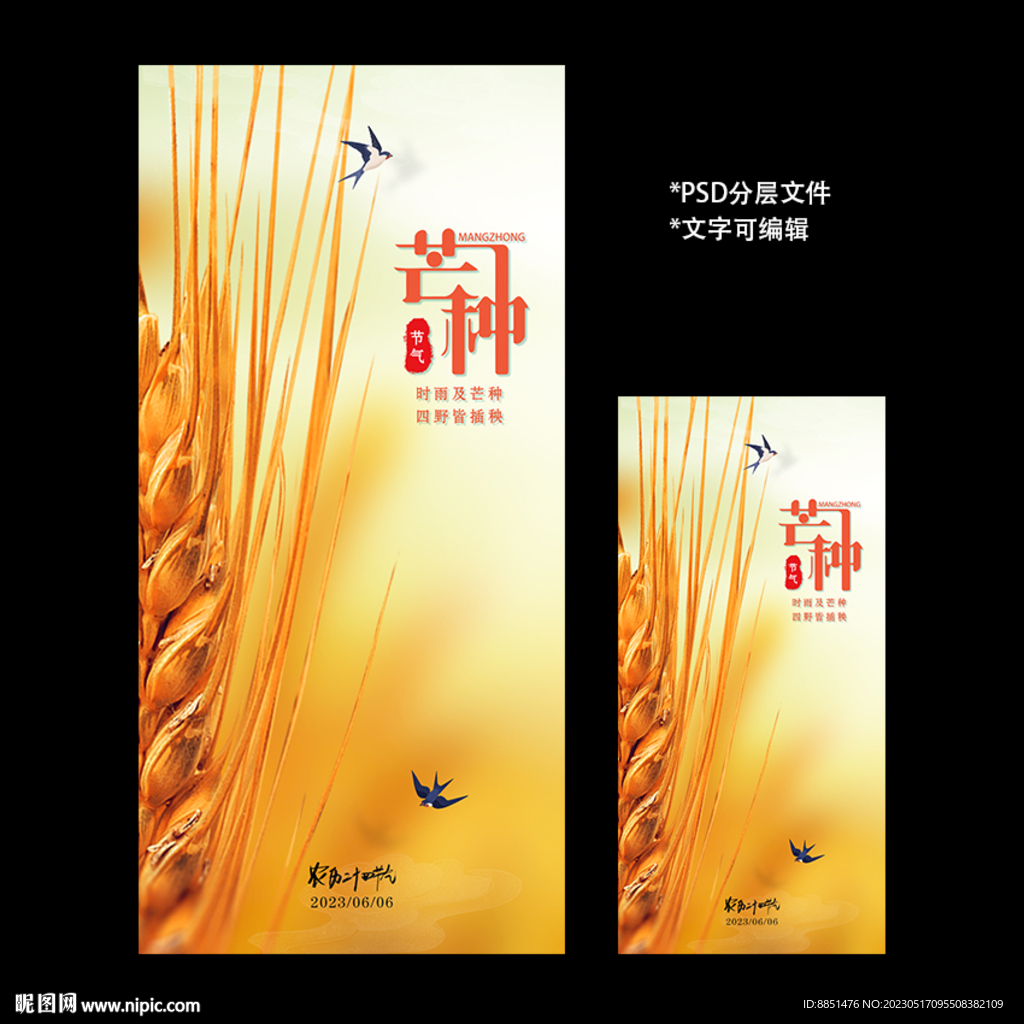 二十四节气芒种