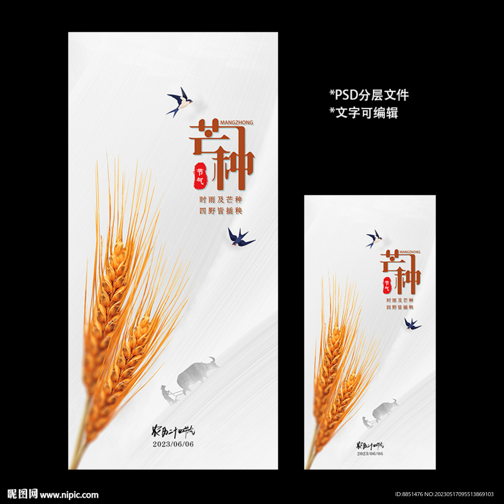 二十四节气芒种