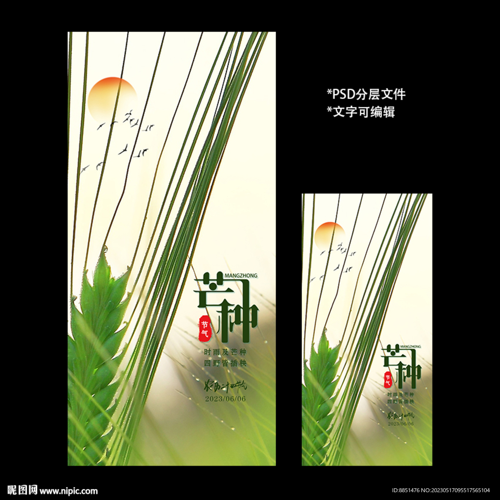 二十四节气芒种