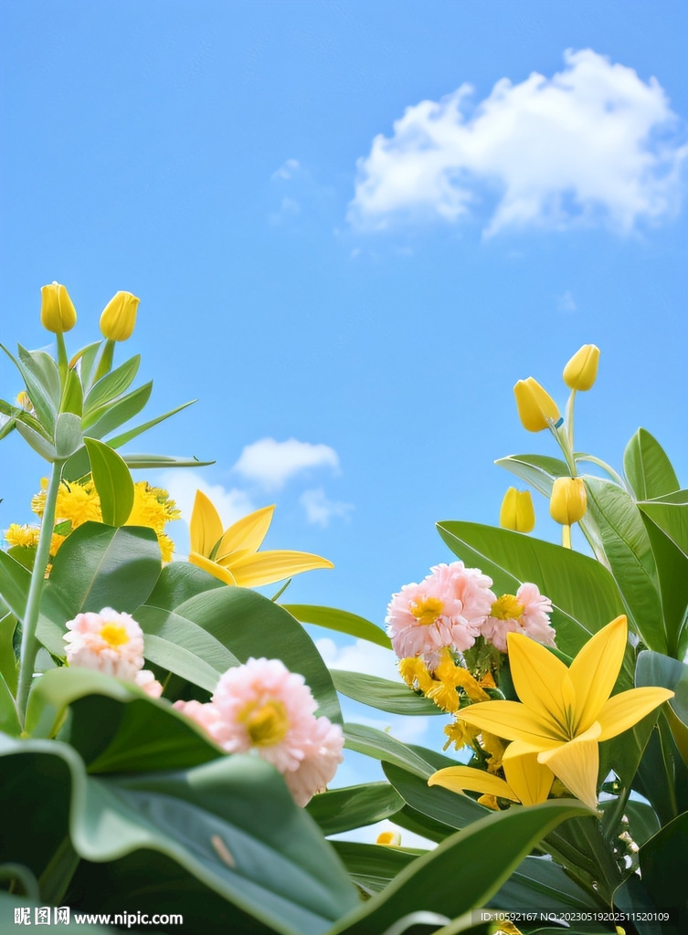 淘宝电商海报详情页背景图