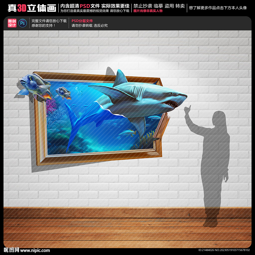 鲨鱼立体画