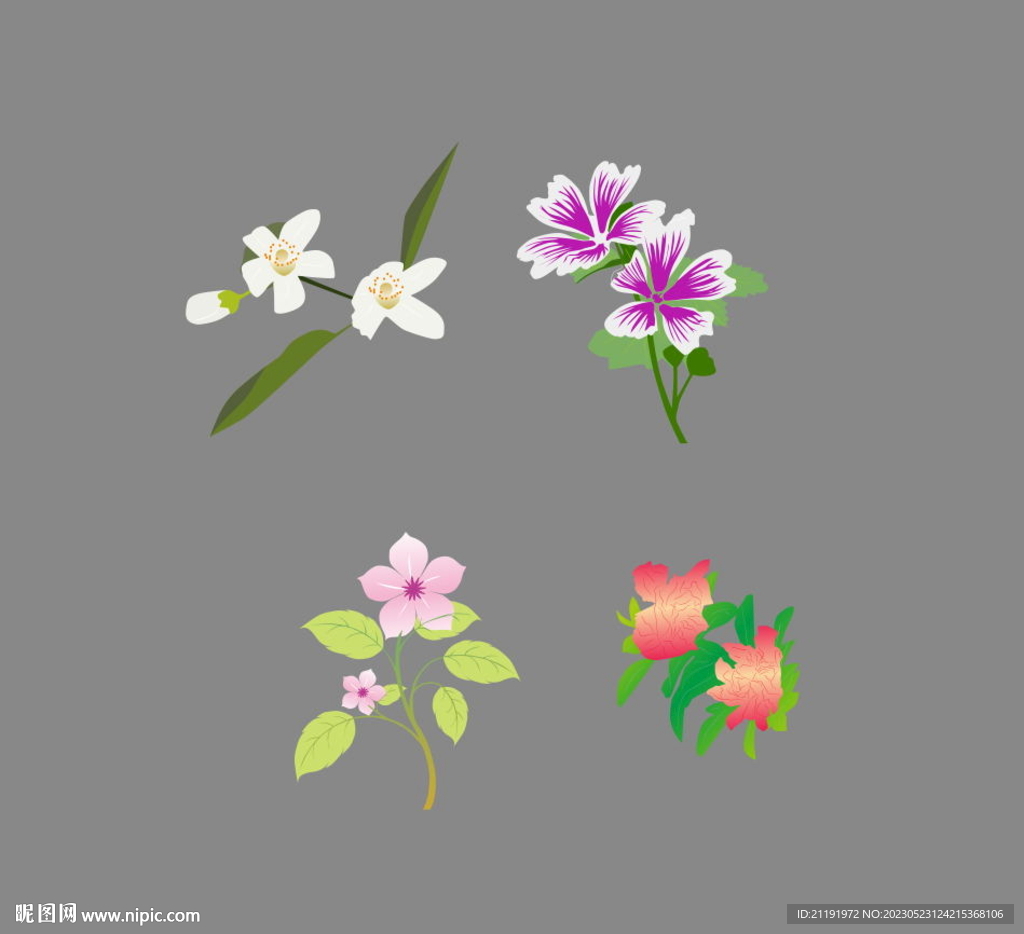 矢量花朵