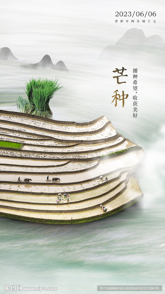 中国风芒种节气海报