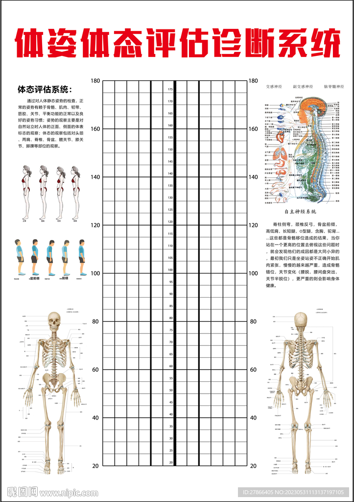 健身体姿评估表