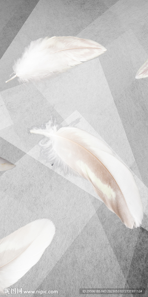 简约 欧式高清玄关 TIF分层