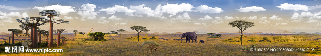非洲大草原背景画