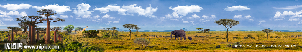 非洲草原背景画