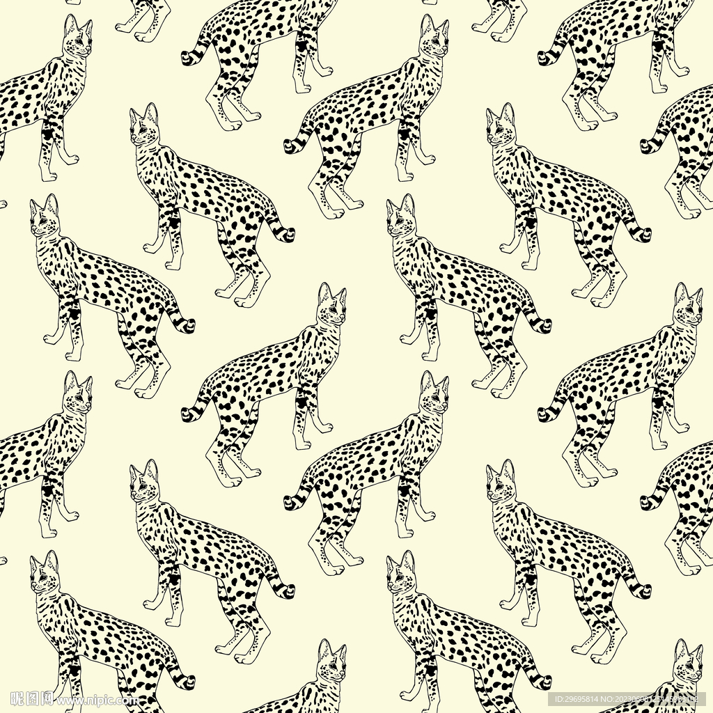 动物 豹子 老虎 