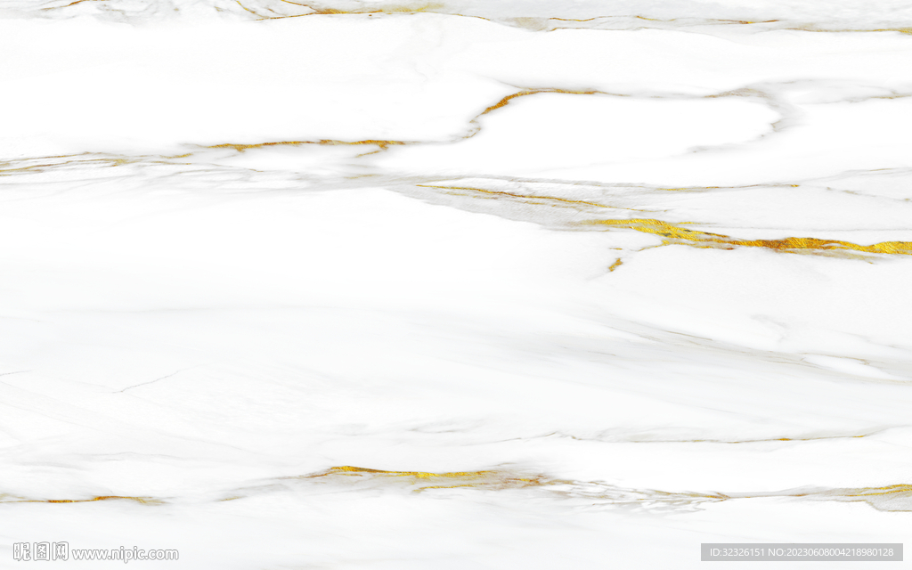 奢华 金线新鱼肚白 tIF合层