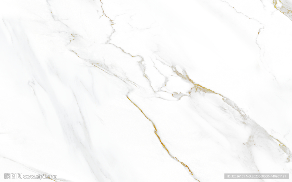 高端 金线新鱼肚白 tIF合层