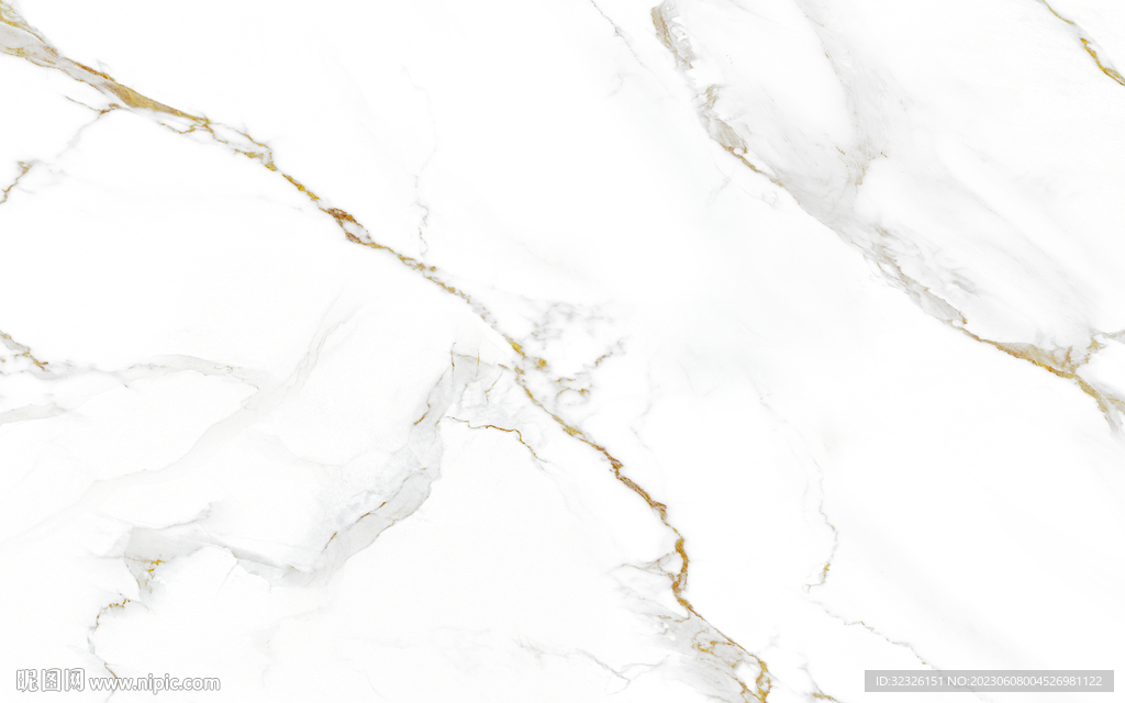 豪华 金线新鱼肚白 tIF合层