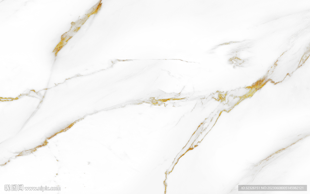 人气 金线新鱼肚白 tIF合层