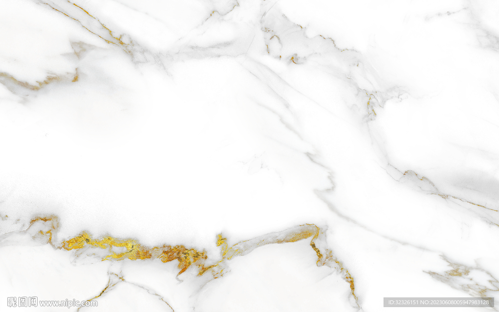 爆款 金线新鱼肚白 tIF合层