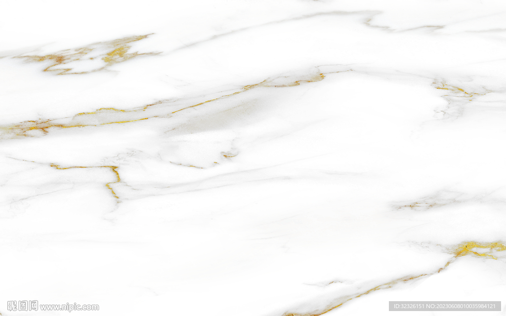 新品 金线新鱼肚白 tIF合层