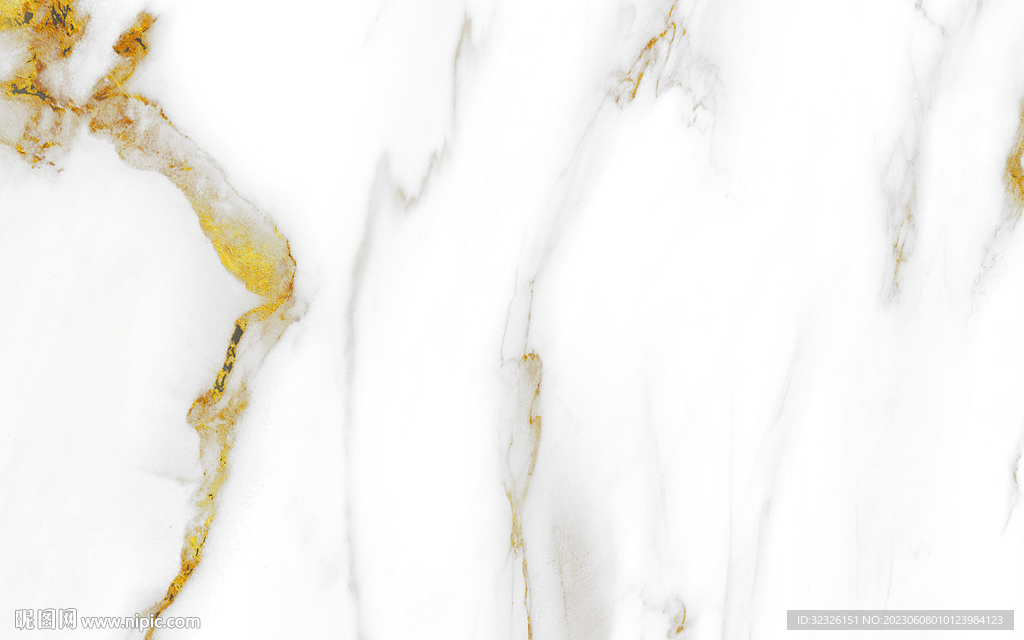 新款 金线新鱼肚白 tIF合层