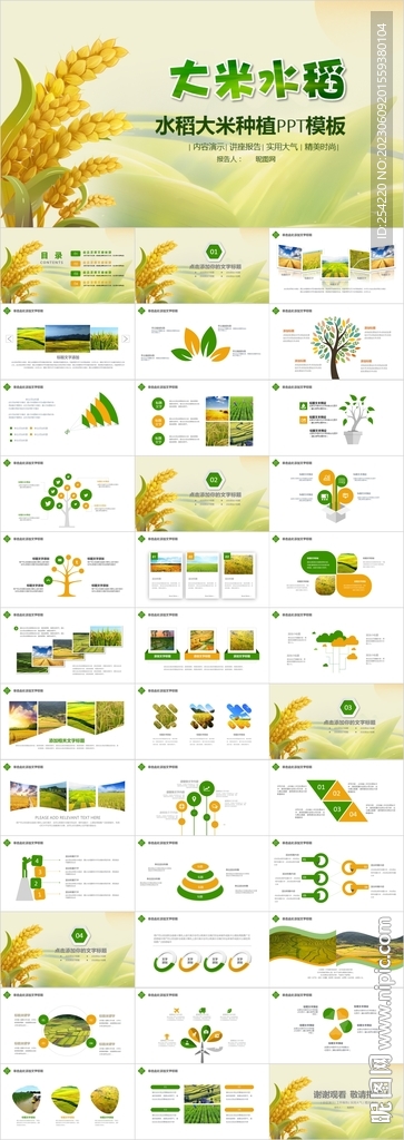 水稻农田绿洲大米PPT模板农业