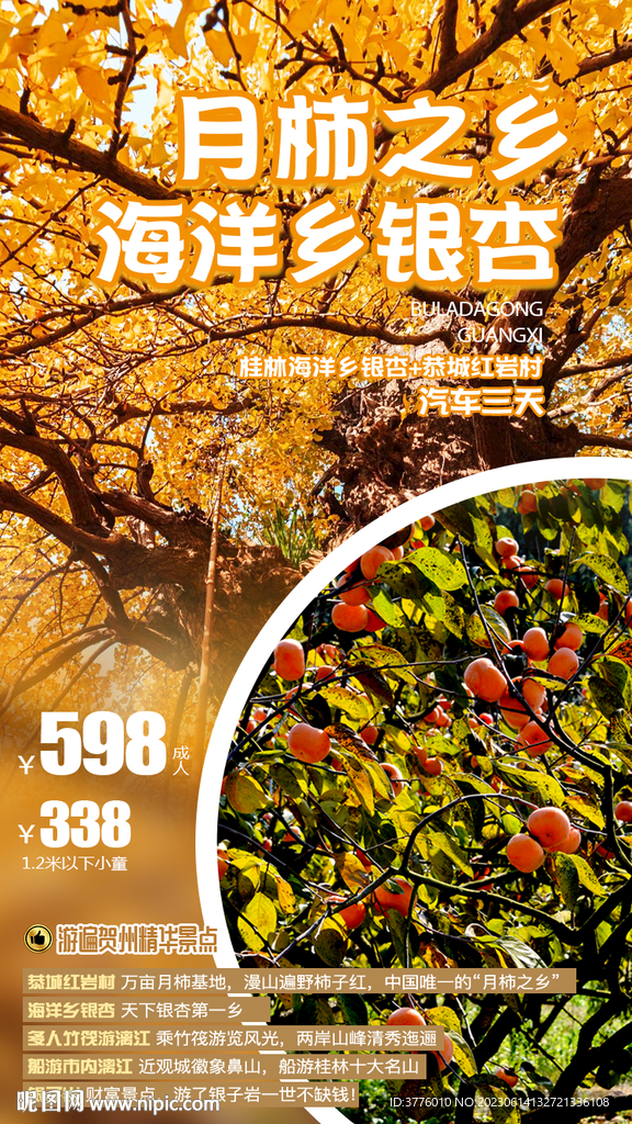 金秋广西桂林恭城柿子旅游海报