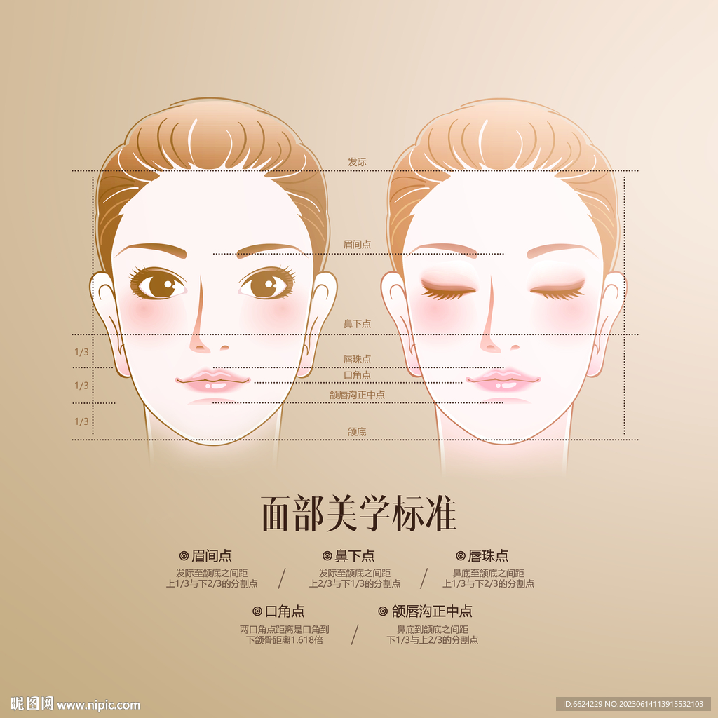 面部美学标准