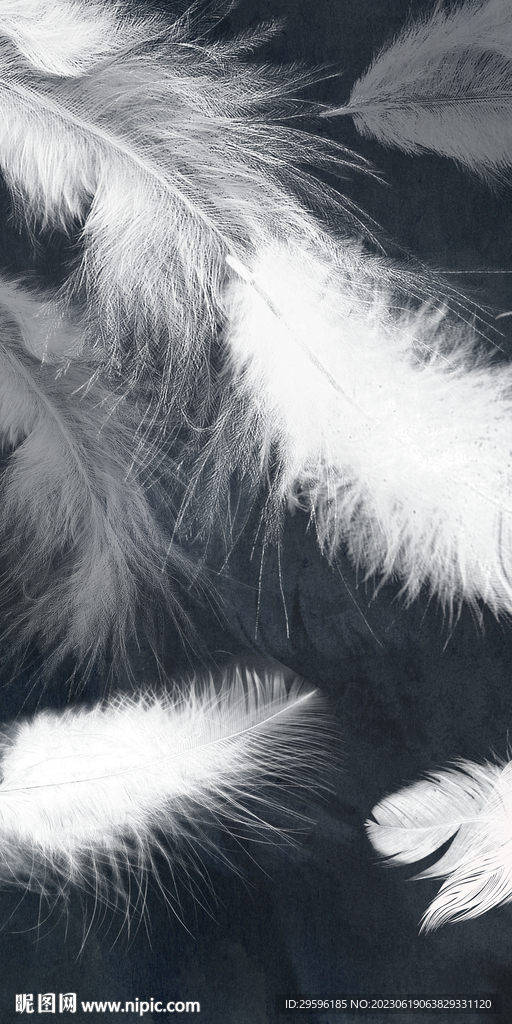 爆款 简奢豪华玄关 TIF分层