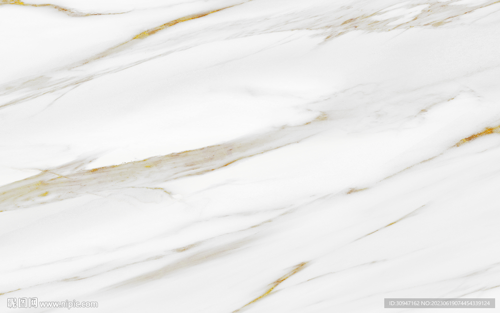 新传 新金线鱼肚白 Tif合层