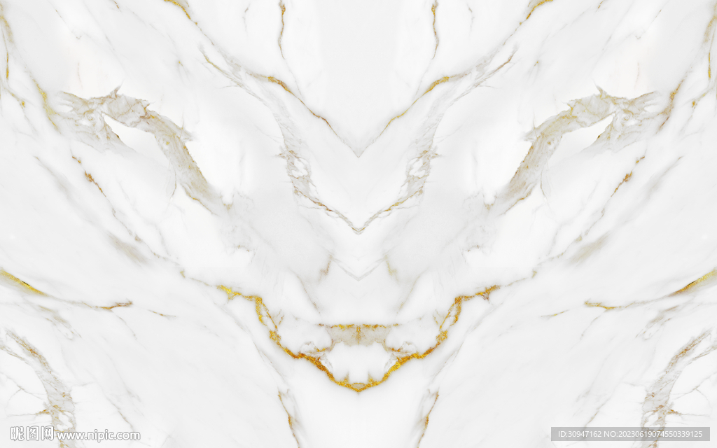 新品 新金线鱼肚白 Tif合层