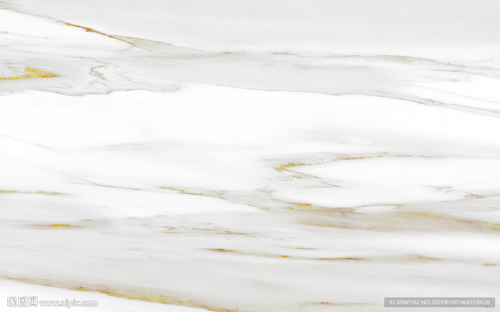 爆款 新金线鱼肚白 Tif合层