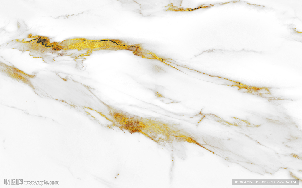 高清 新金线鱼肚白 Tif合层