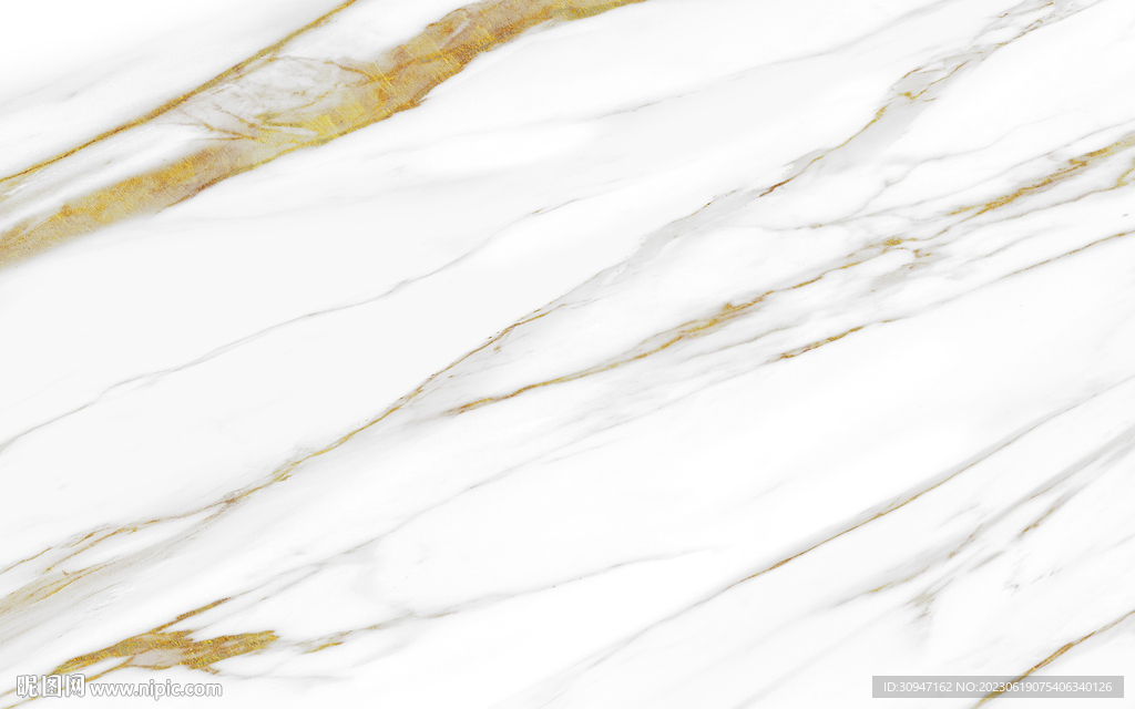 质感 新金线鱼肚白 Tif合层