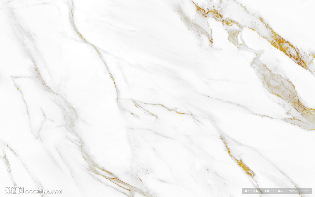 现代 新金线鱼肚白 Tif合层