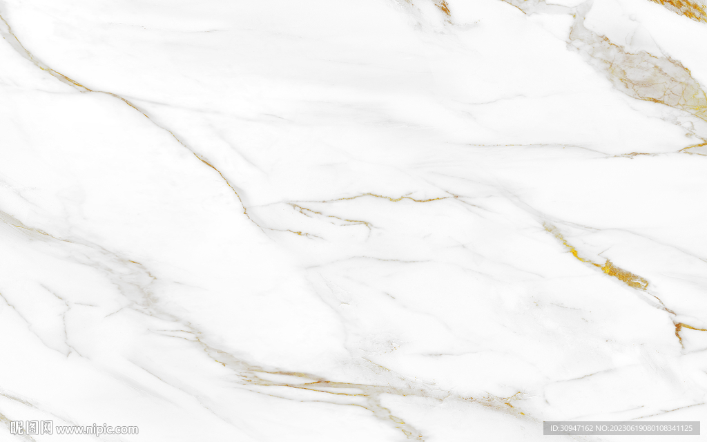 高雅 新金线鱼肚白 Tif合层