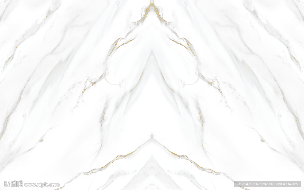 新品 金色新鱼肚白 Tif合层