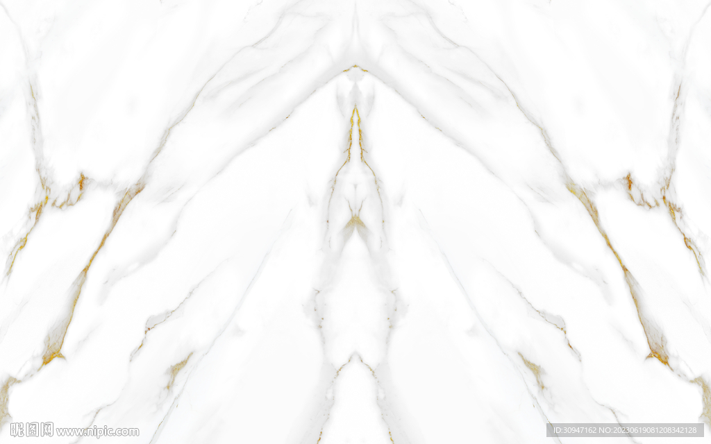 新款 金色新鱼肚白 Tif合层