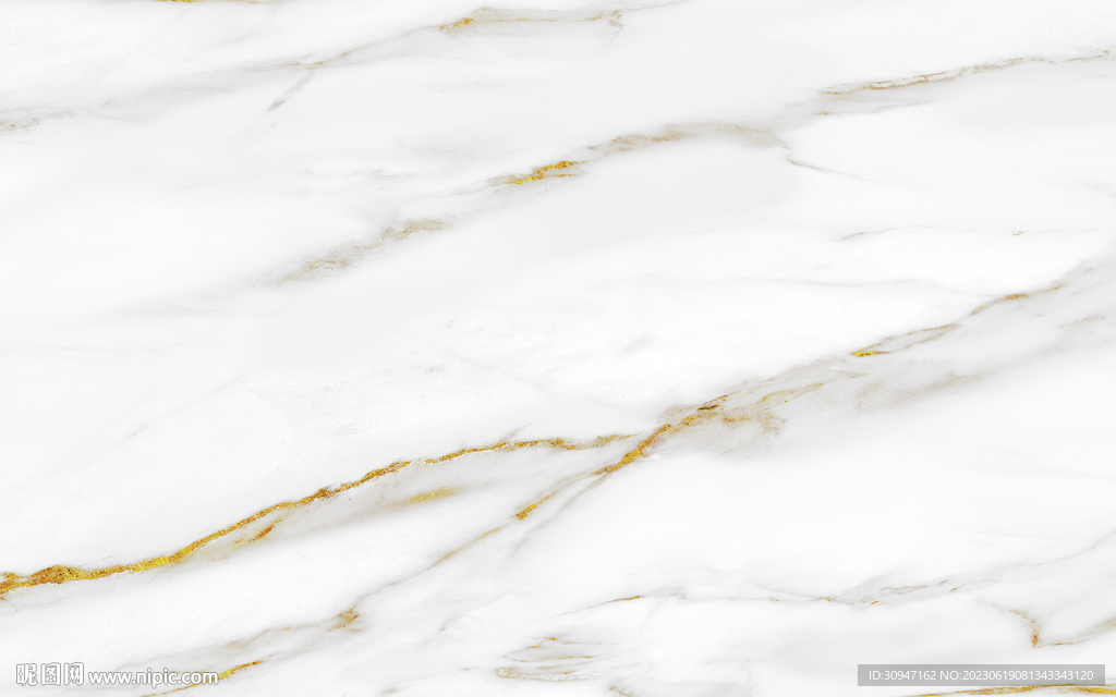 最新 金色新鱼肚白 Tif合层