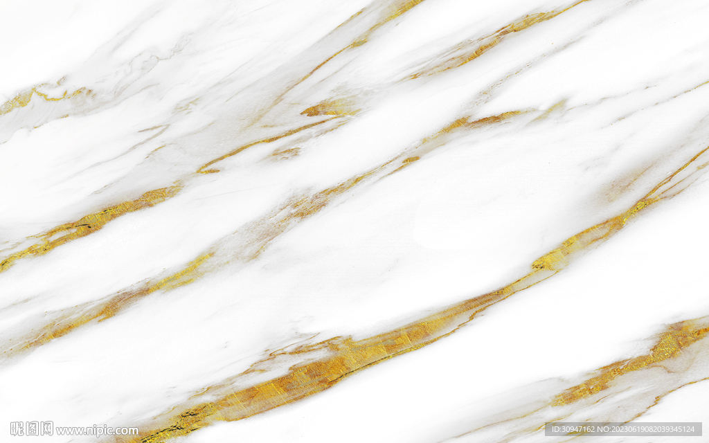 高端 金色新鱼肚白 Tif合层