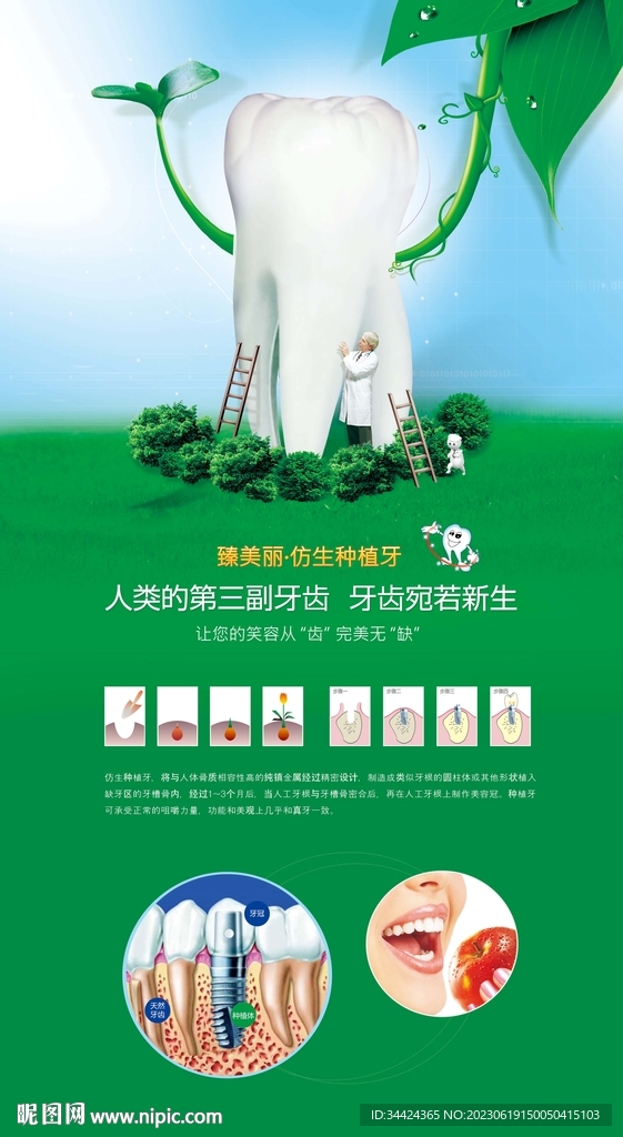 种植牙海报