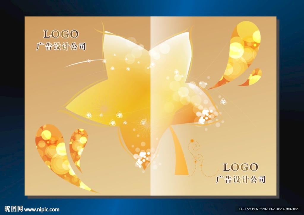 黄叶闪光 书籍封面