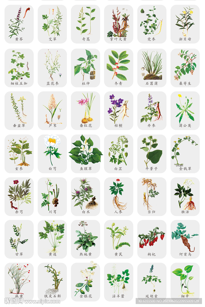 中药图谱