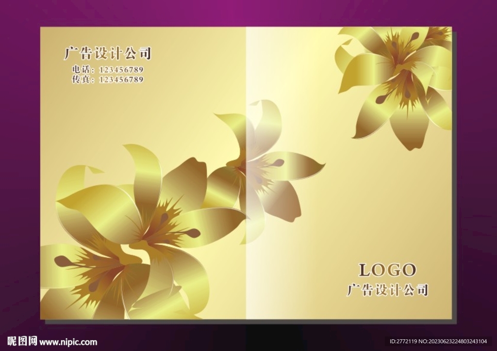 金花儿 书籍封面