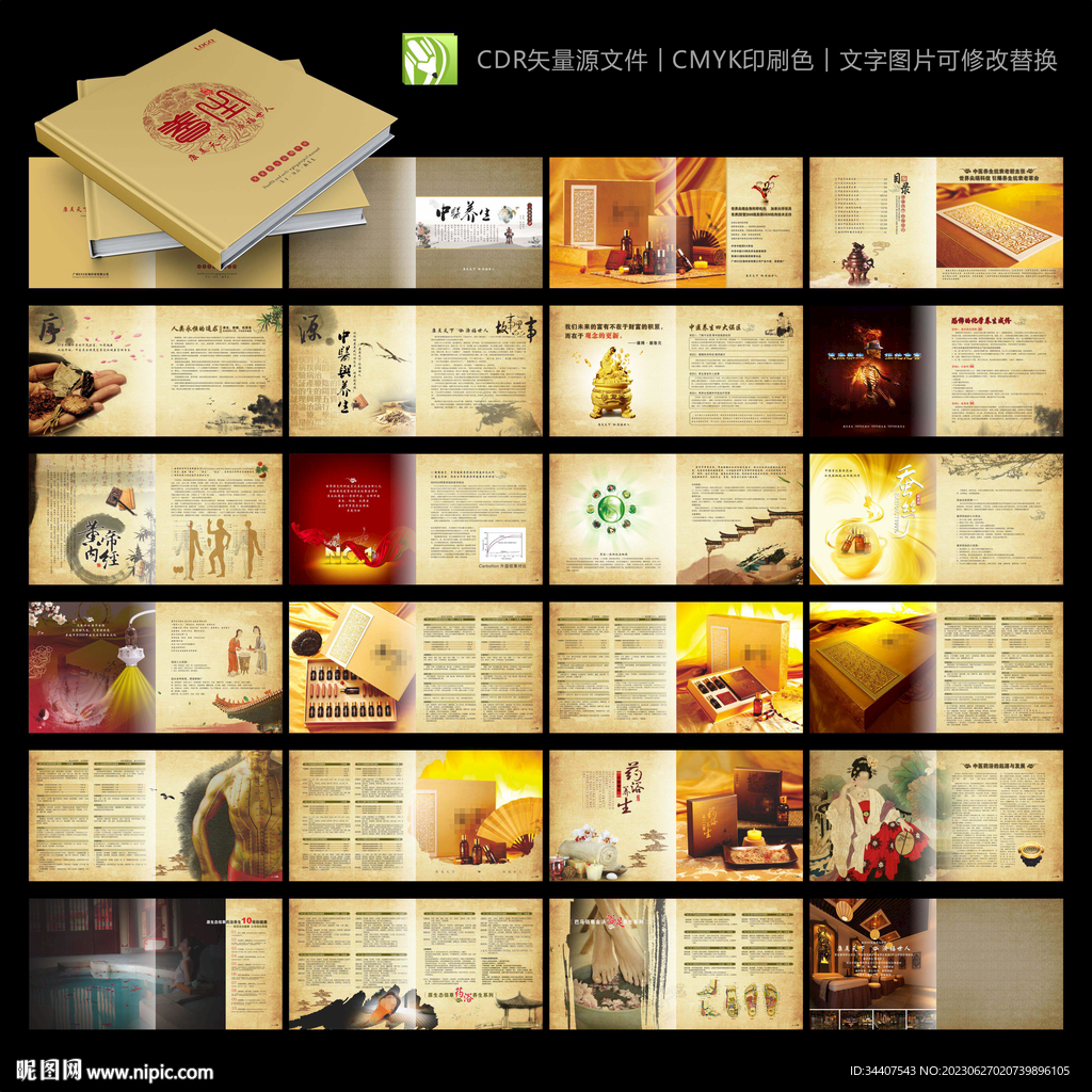 传统养生抗衰老项目画册