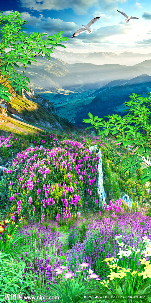 浪漫薰衣草花海玄关