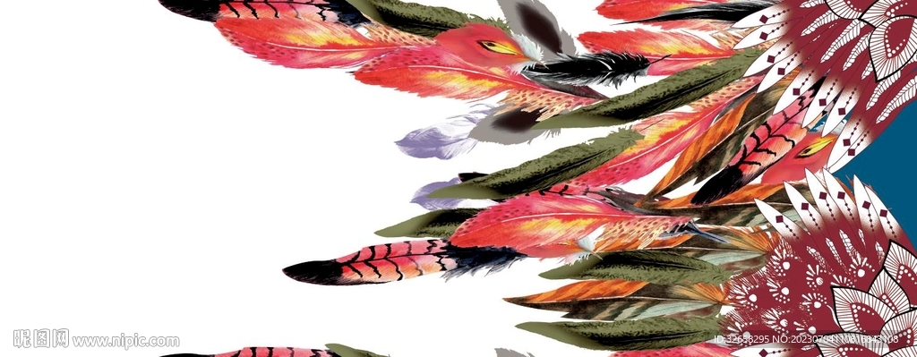 定位花 孔雀羽毛