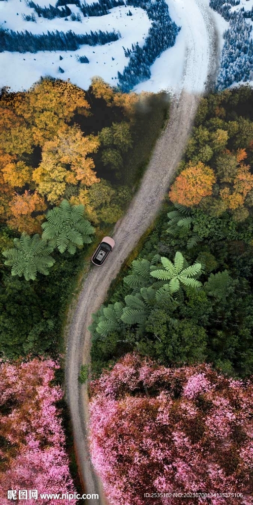 穿越四季 春夏秋冬