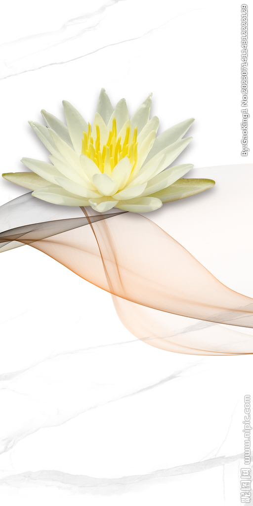 最新 高档新品玄关 Tif分层