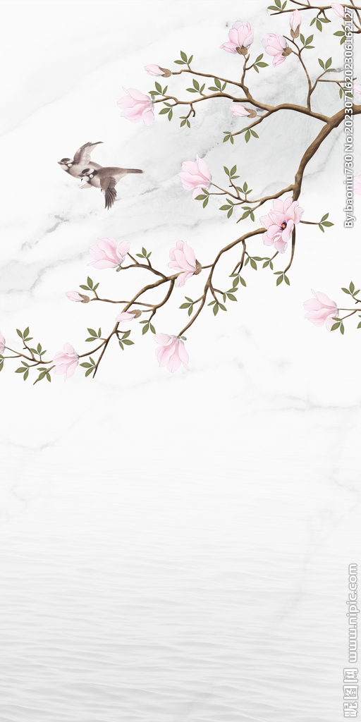 人气 最新高清玄关 TIf分层