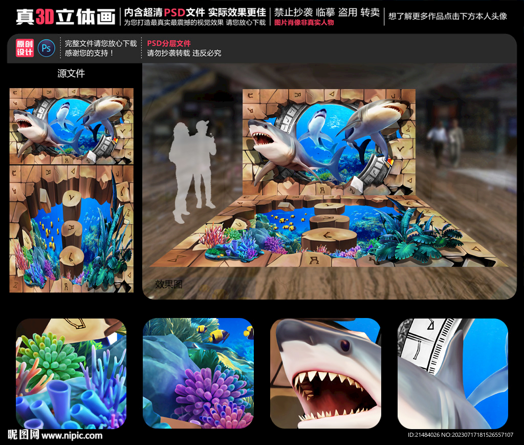 鲨鱼立体画