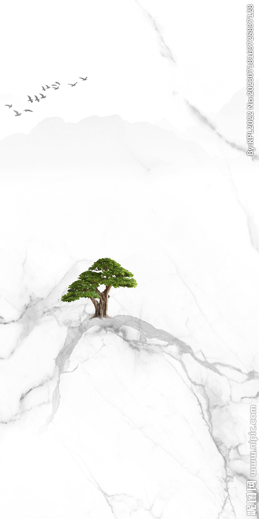 大气 高端新款玄关 TiF分层