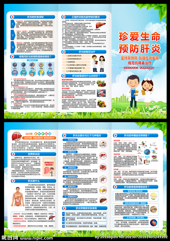肝炎三折页