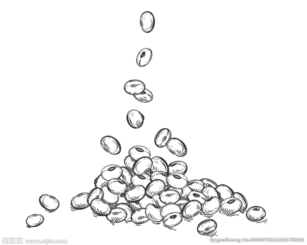 散落的黄豆插画